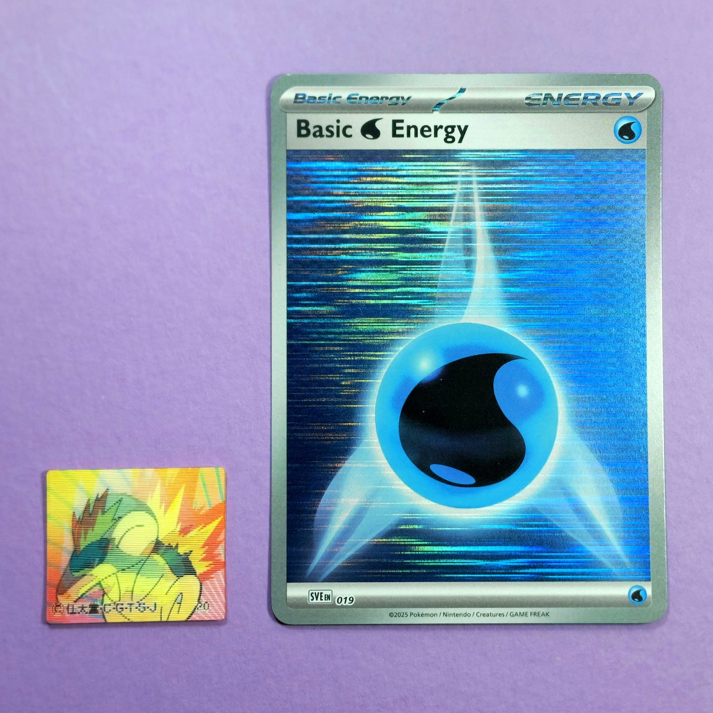 Meiji Zoom-Up Lenticular Seal - Cyndaquil
