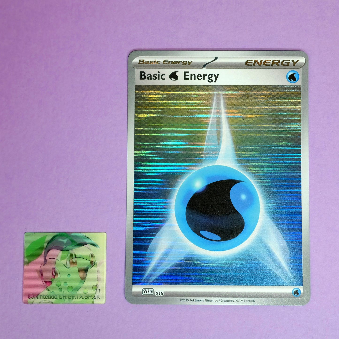 Meiji Zoom-Up Lenticular Seal - Chikorita